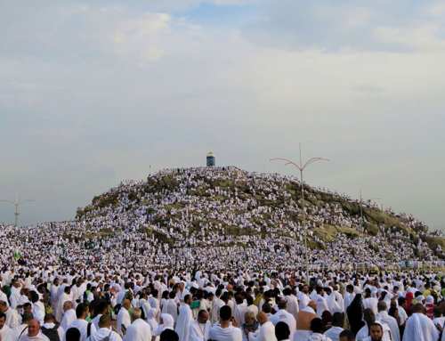 The 3 Key Questions about the Best Day of the Year: ARAFA